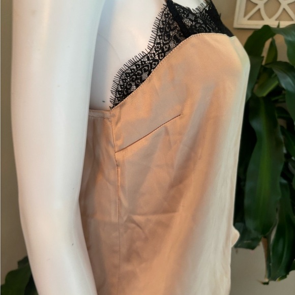 Elegant Tan Lace Trim Cami Top - Picture 5 of 6